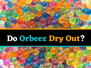 Do Orbeez Dry Out or shrink?