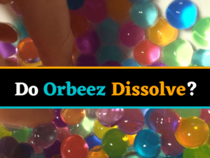 Do orbeez dissolve?